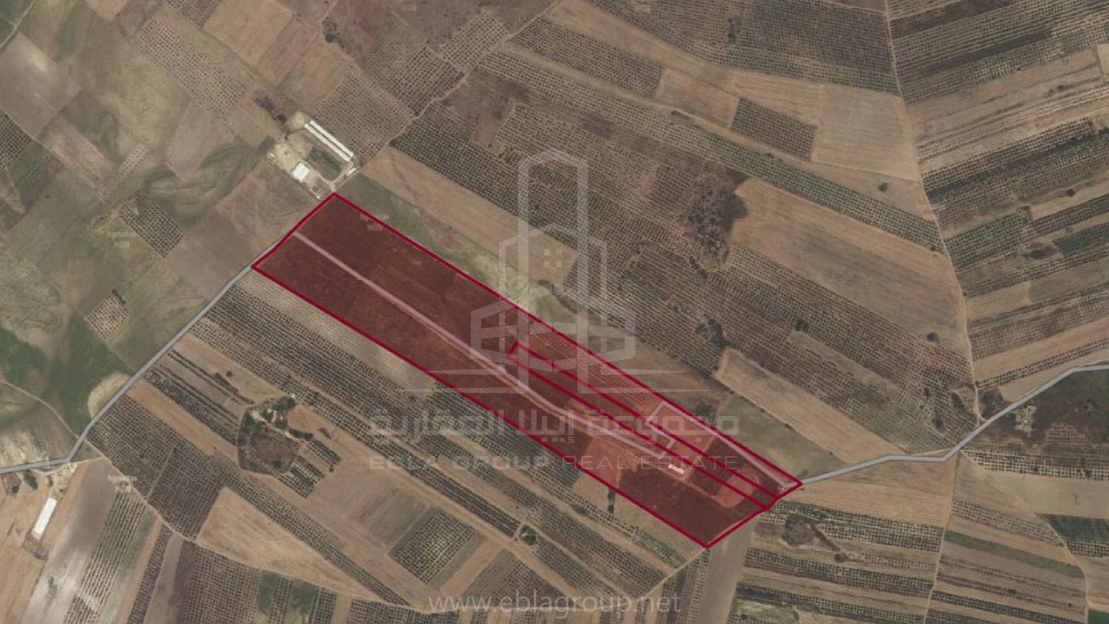 Land for sale in Bursa Ebla Group Agriculture land in Karacabey