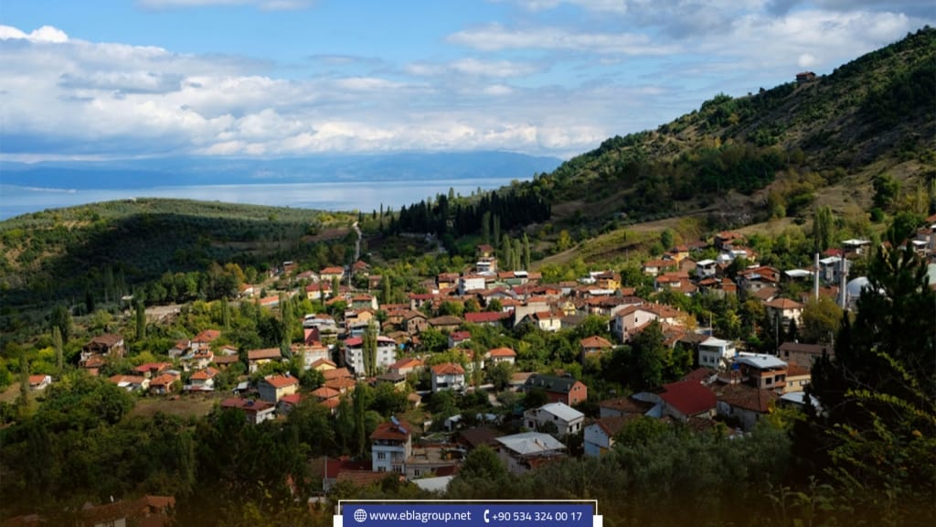 Buying a rural house in Bursa