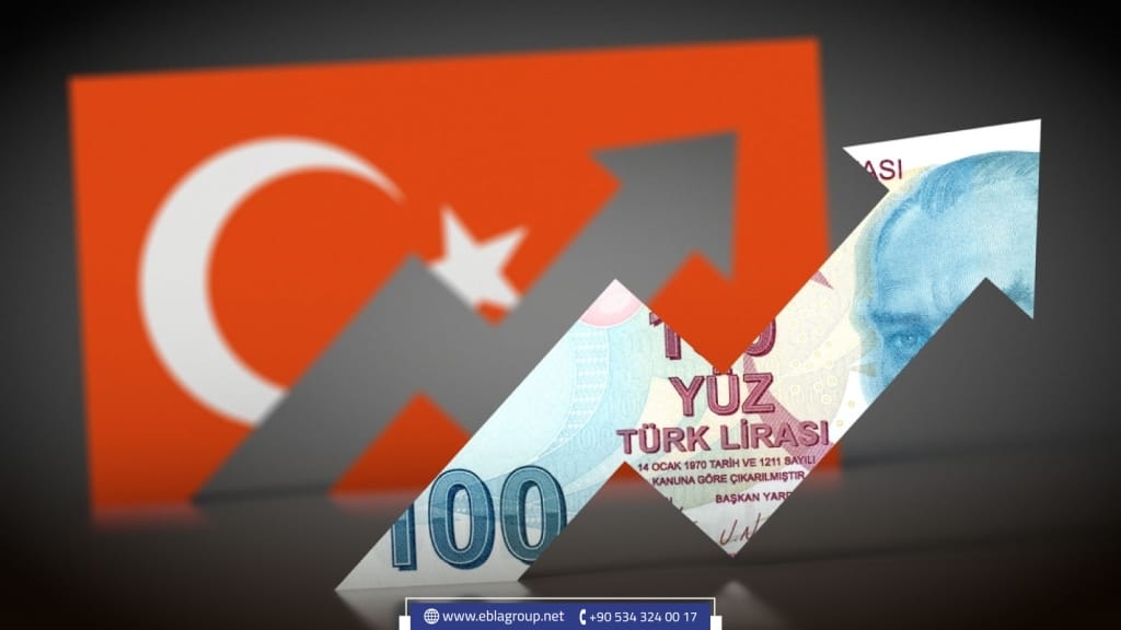 الدعم الحكومي للاستثمار في تركيا