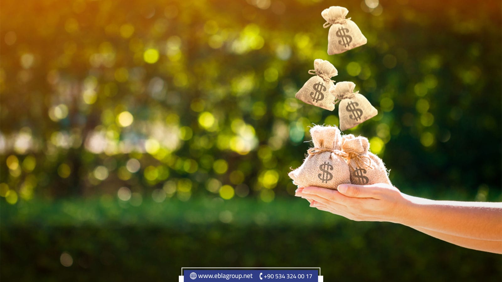 من يحدد العائدات الشهرية على العقارات ولمن تدفع