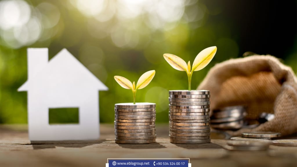 Apartment vs plot of land in Turkey, which is better for investment?