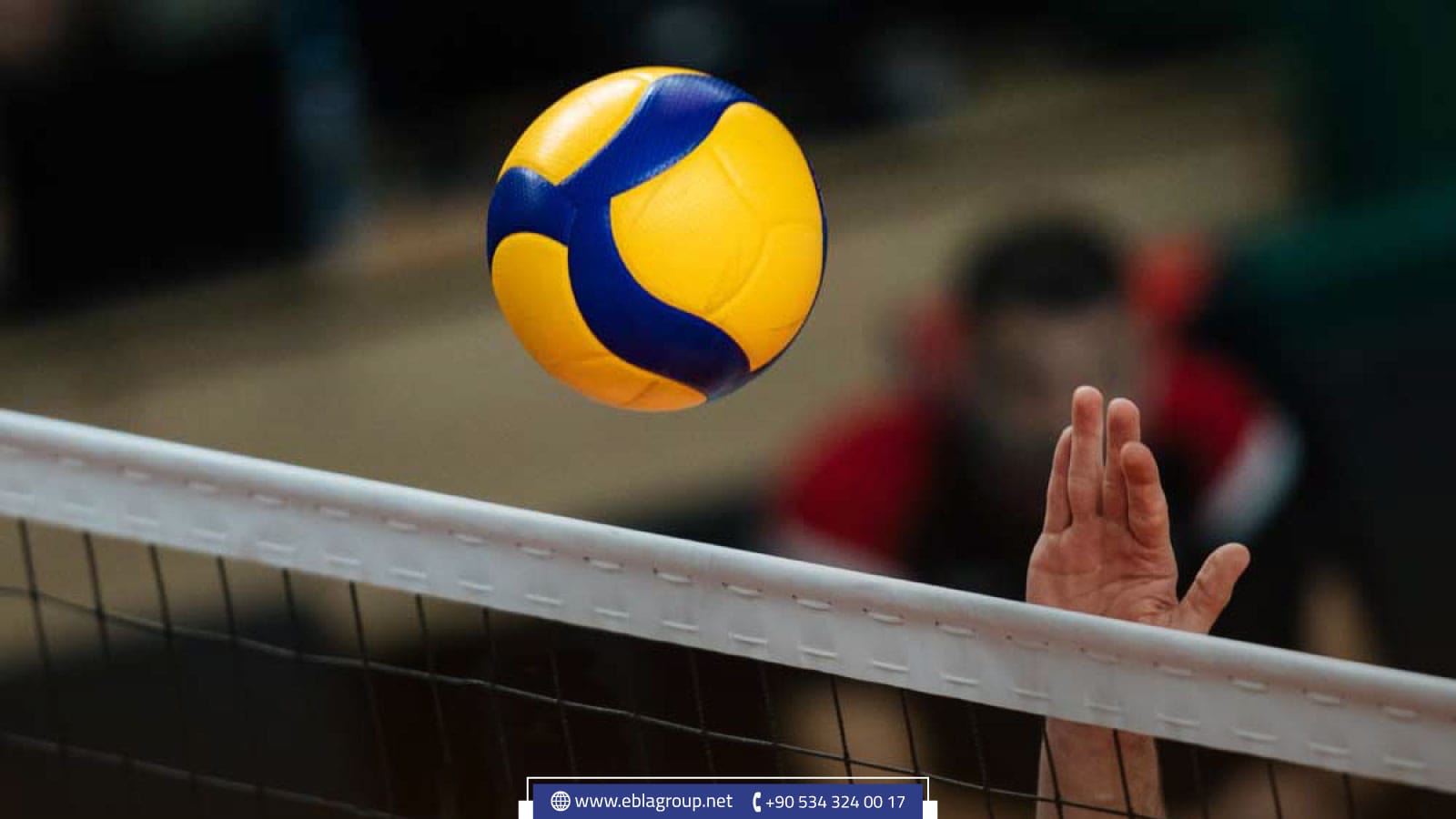 أشهر الرياضات في تركيا