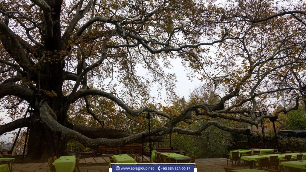 هل بورصة مكان آمن للاستثمار