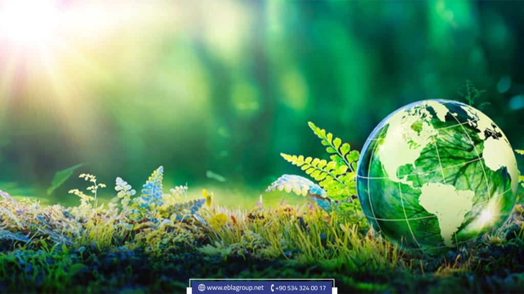 شراء منزل ريفي في بورصة