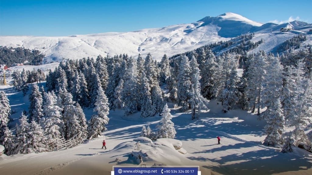 هل بورصة مكان آمن للاستثمار