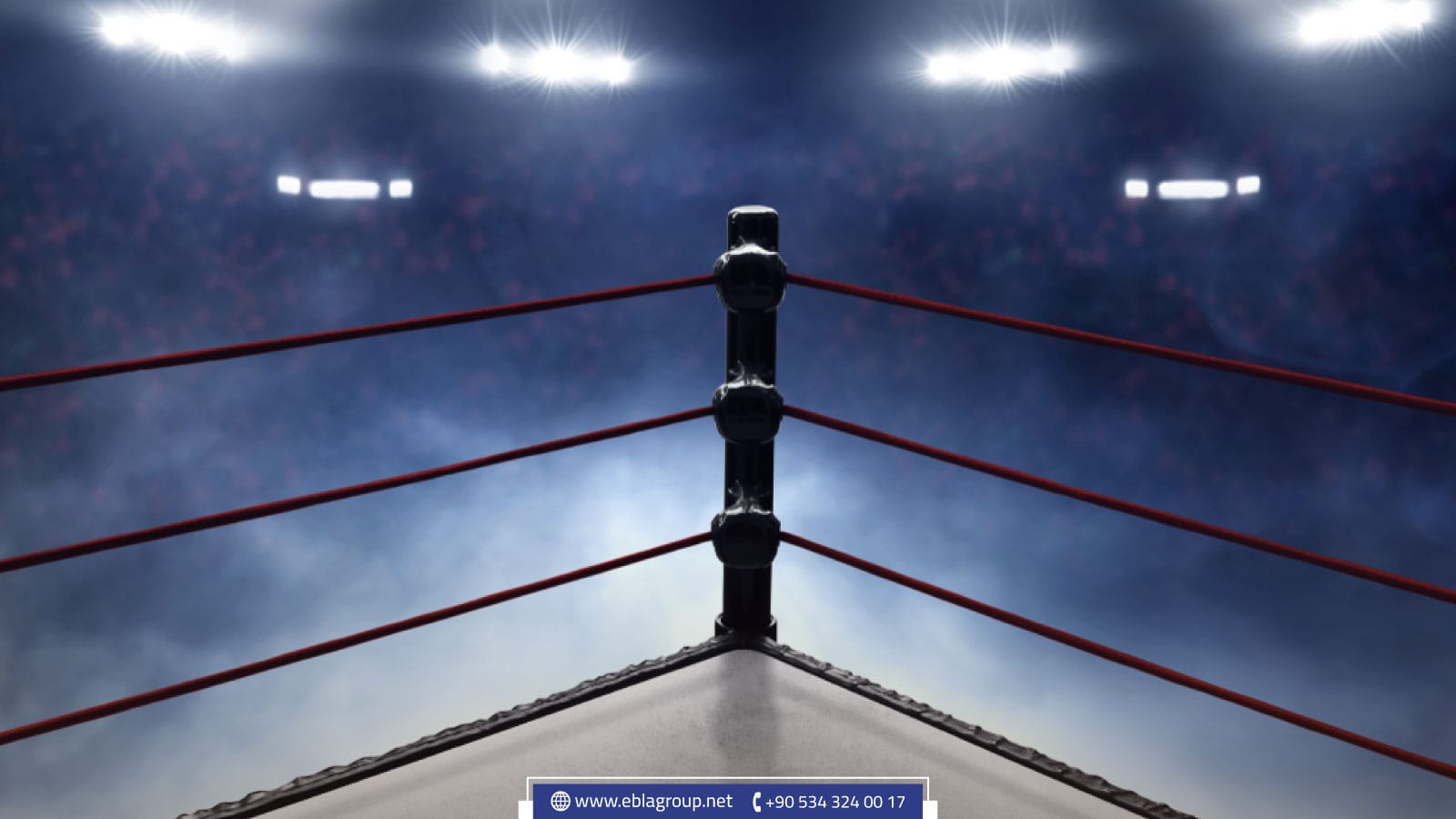 لعبة المصارعة الحرة