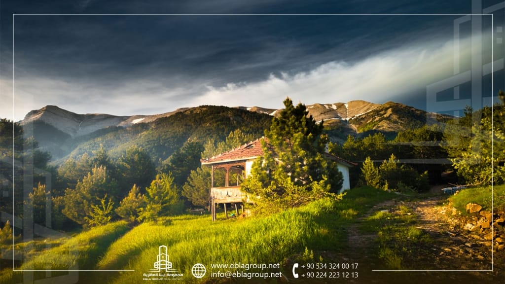 شراء منزل ريفي في بورصة