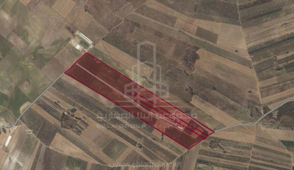 ارض زراعيه للبيع في كارا جابيه بورصة