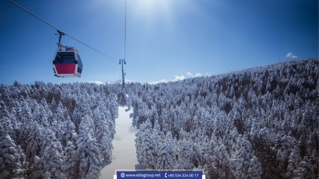 أكثر الأماكن زيارة في بورصة