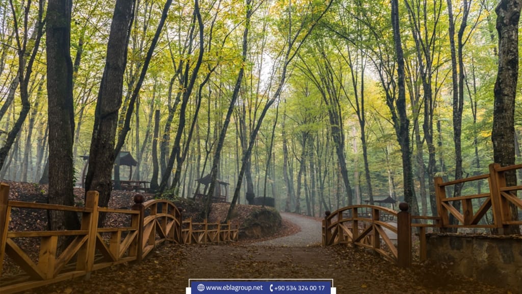 The most visited places in Istanbul