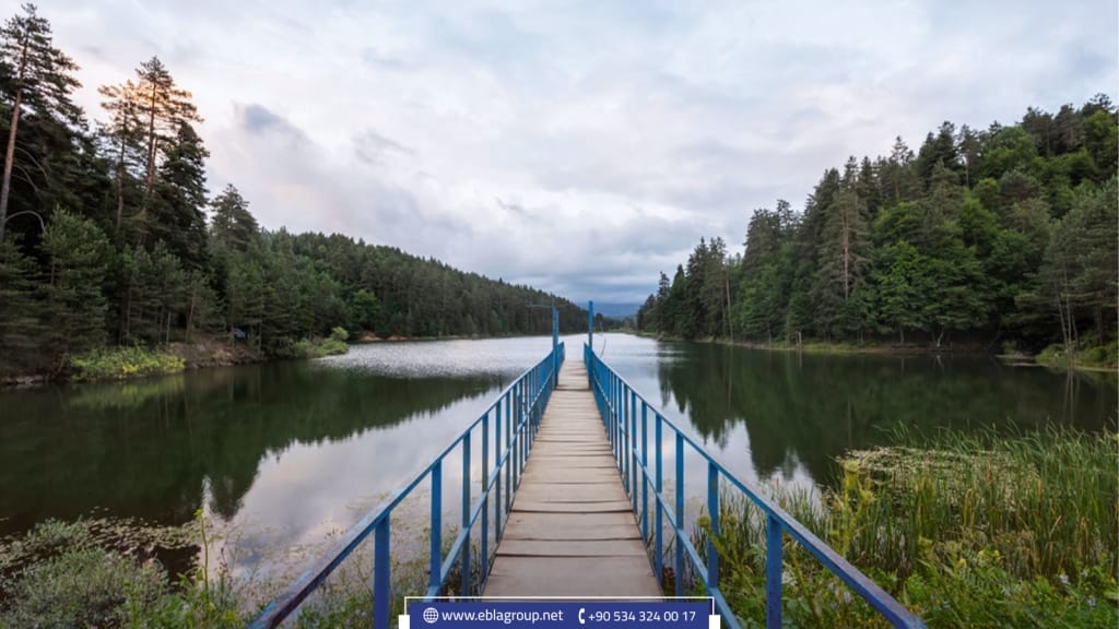 المدن القريبة من بورصة