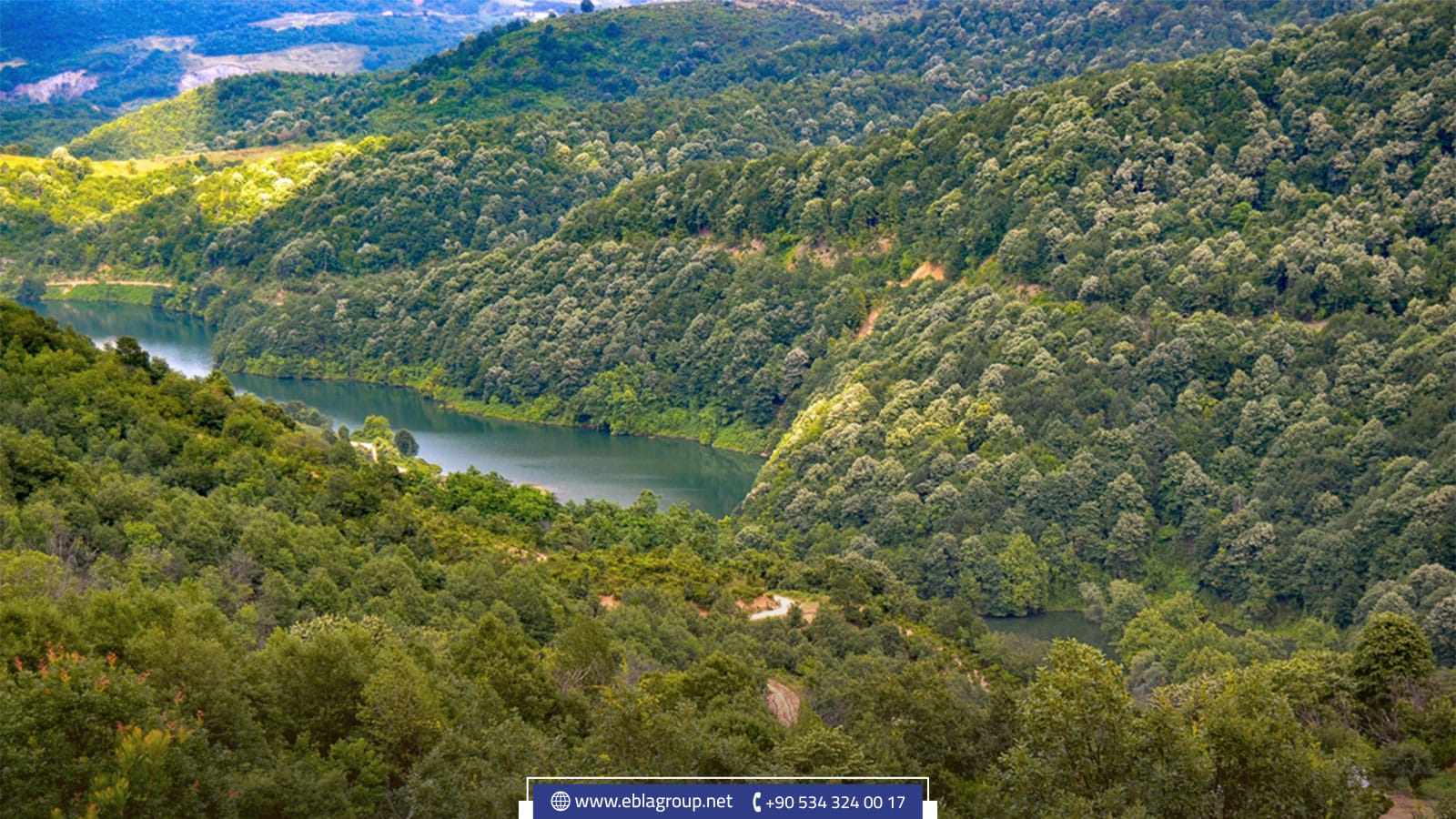 اين تقع يالوفا في تركيا