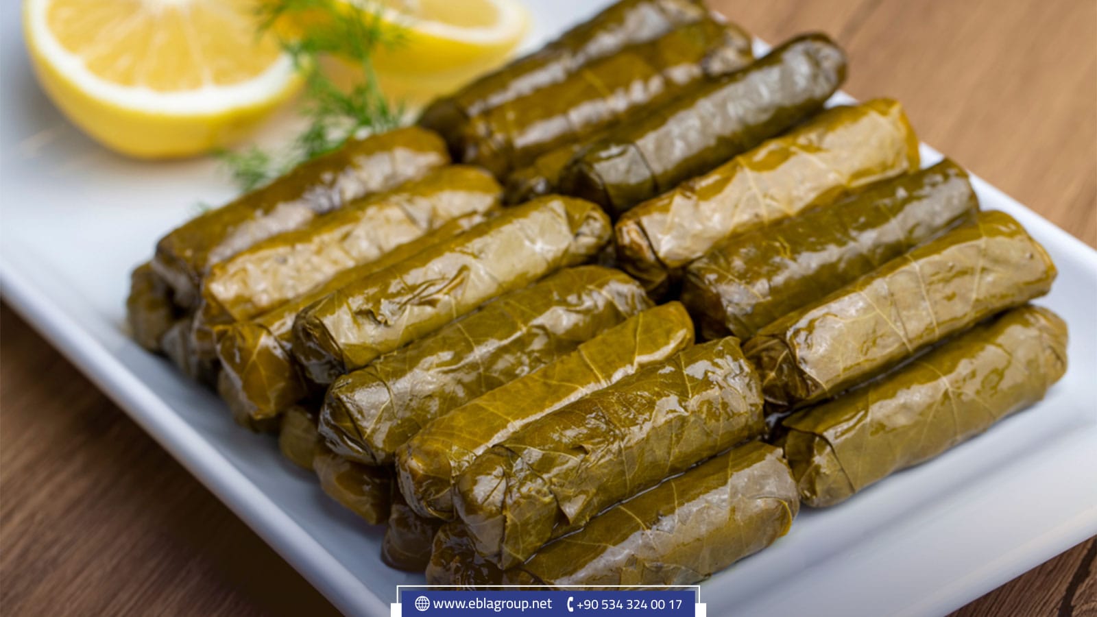 معلومات عن قرية ميسي كوي في بورصة