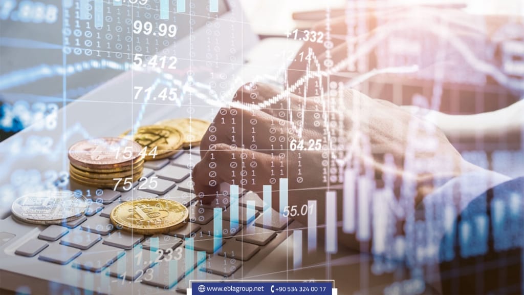 عملات رقمية في تركيا