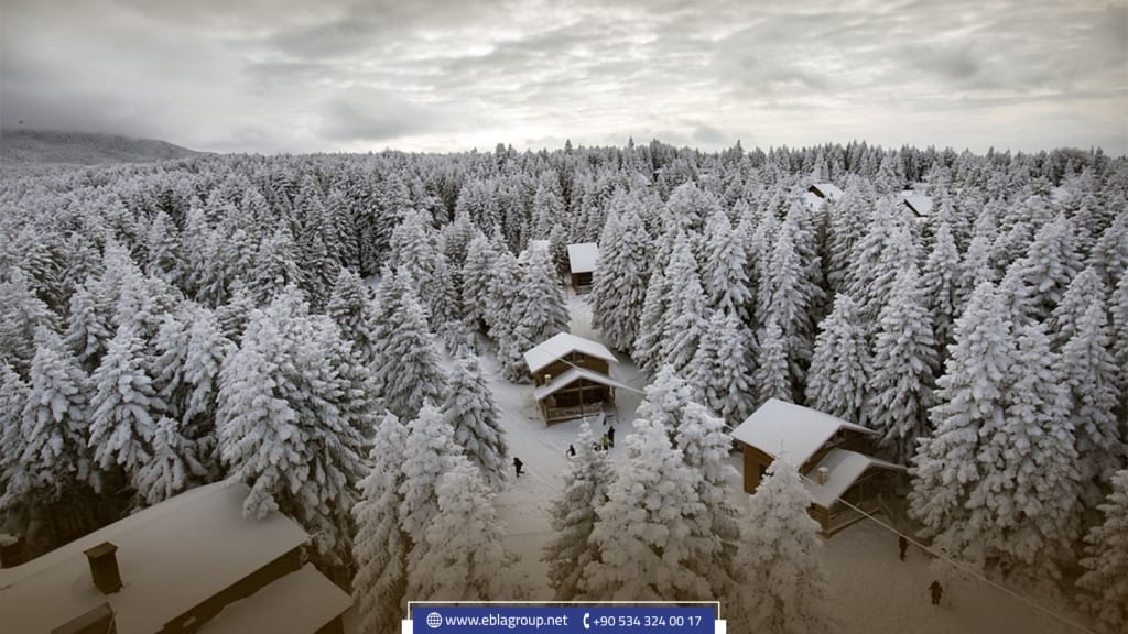 أنشطة ترفيهية في بورصة