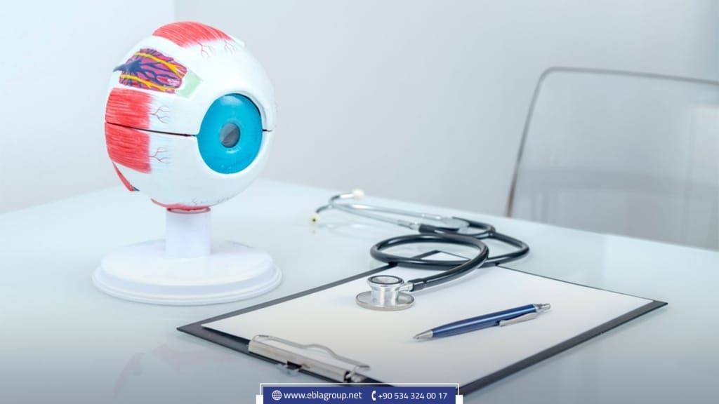 The best private hospitals in Bursa