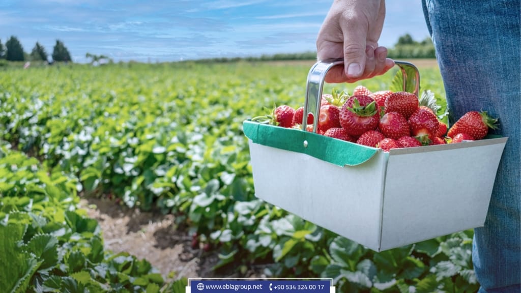 المنتجات المحلية في بورصة