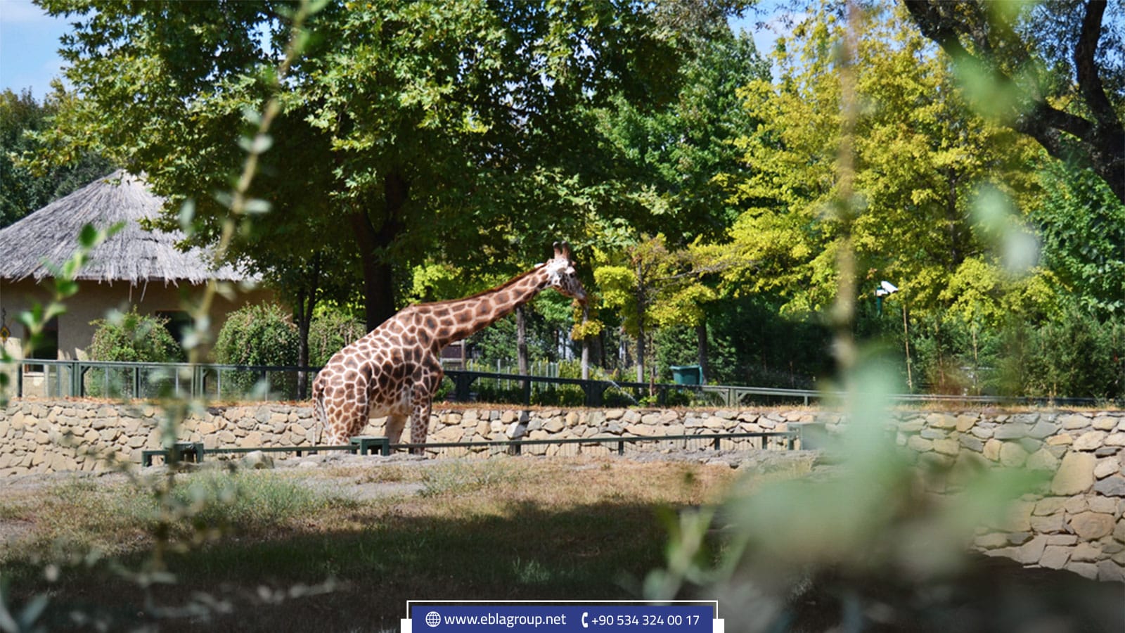 حديقة حيوانات بورصة تركيا الموقع والتأسيس