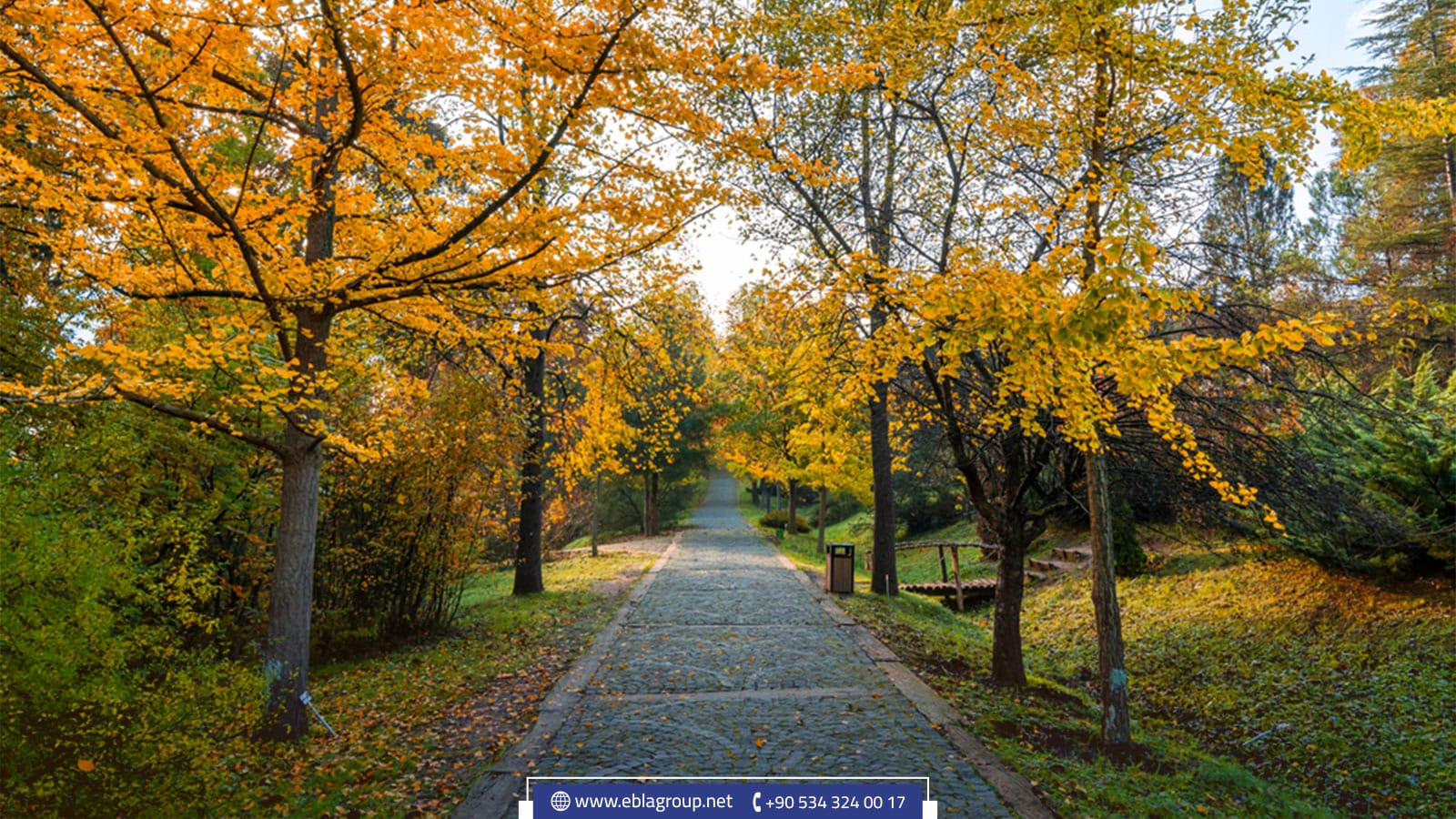 غابات ومنتزه أتاتورك