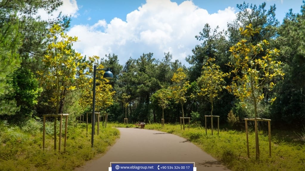 أنشطة ترفيهية في بورصة