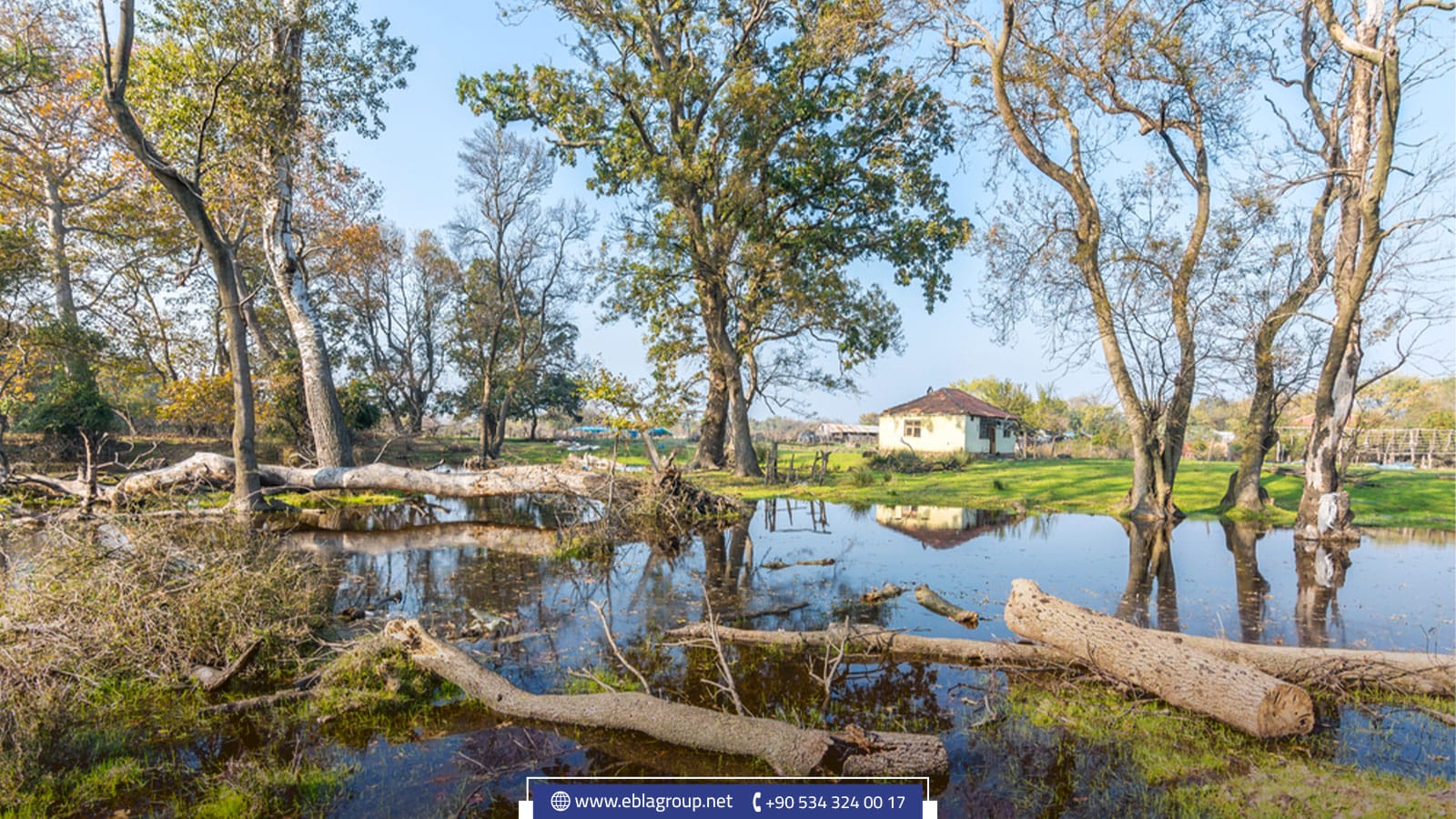 سواحل كاراجابيه في بورصة