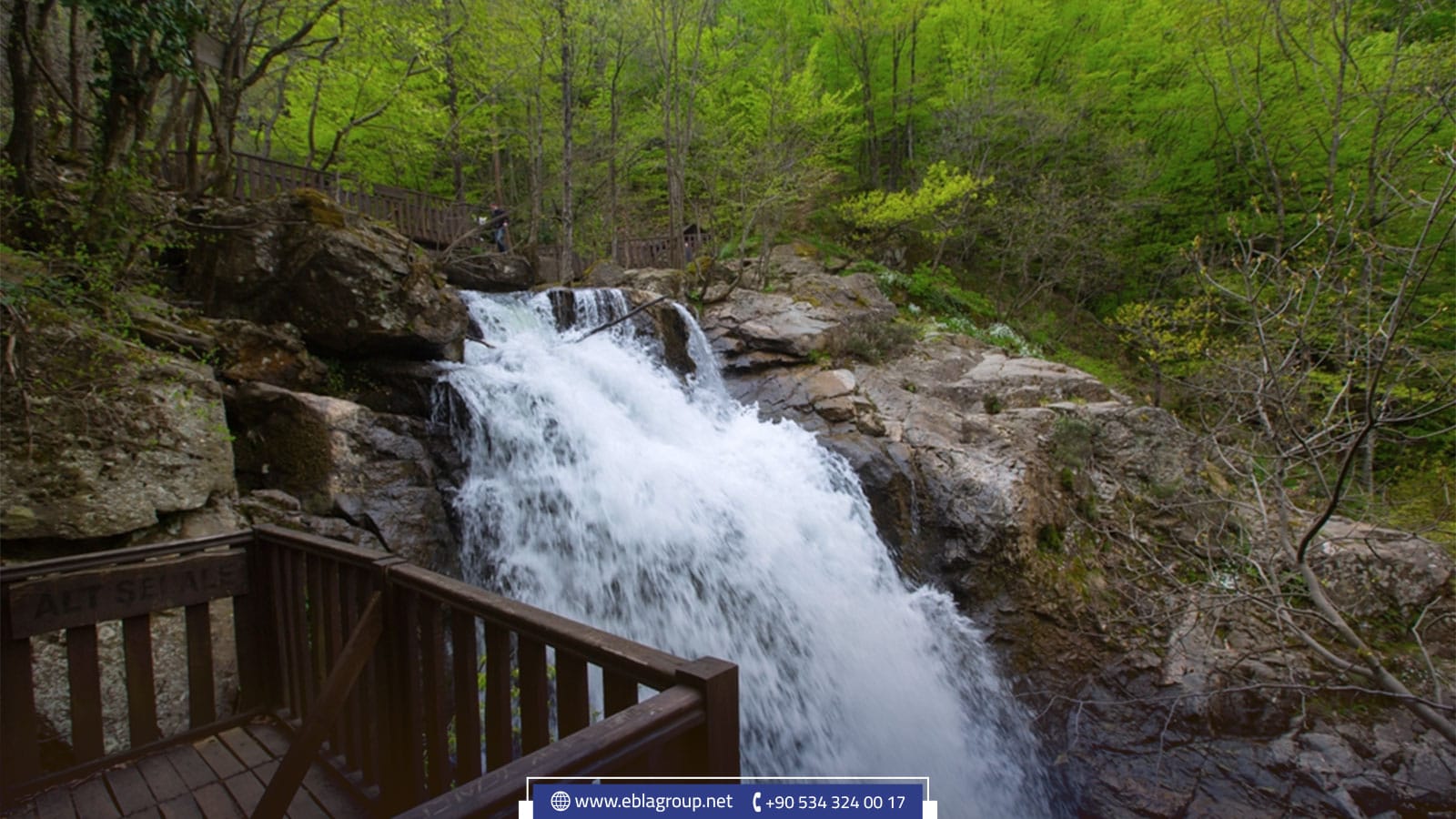 حقول ايريكلي (Erikli Yaylası)