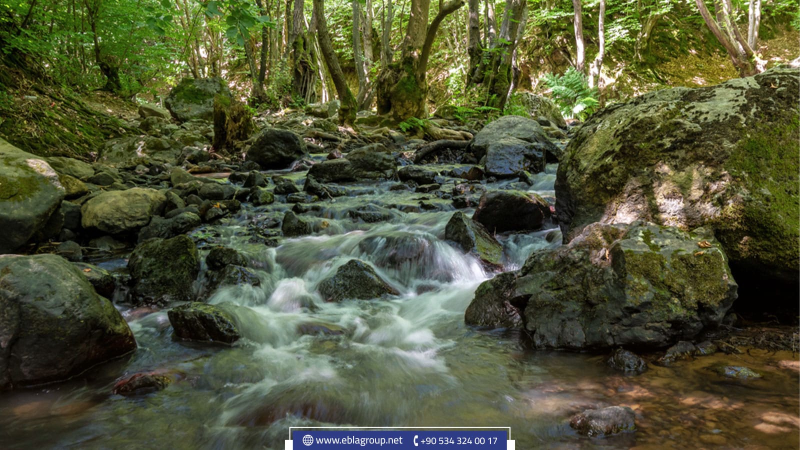 مدينة يالوفا في تركيا