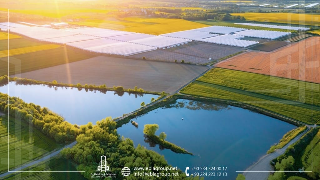 المنتجات المحلية في بورصة