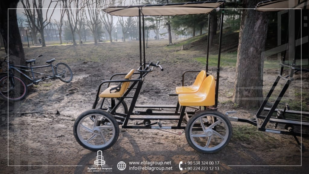 نشاطات لتجربتها في بورصة