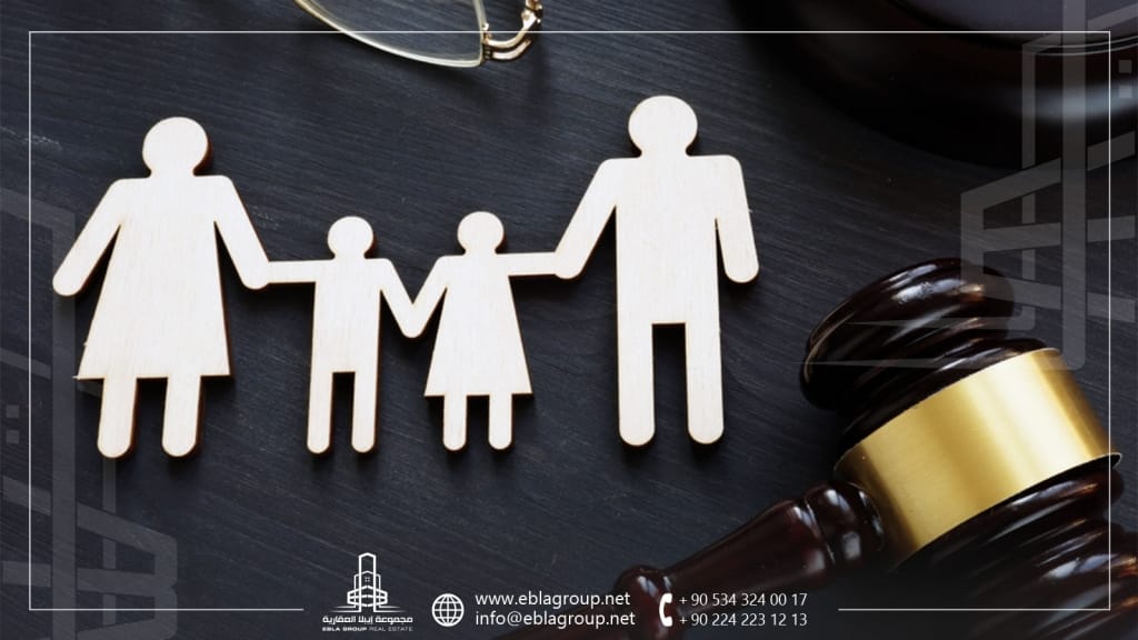 قانون التبني في تركيا