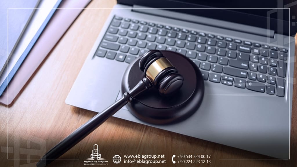 الجرائم الإلكترونية في تركيا