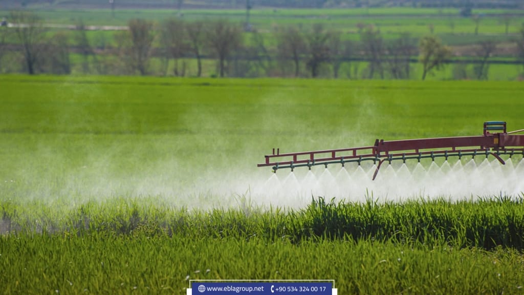 Local products of Bursa