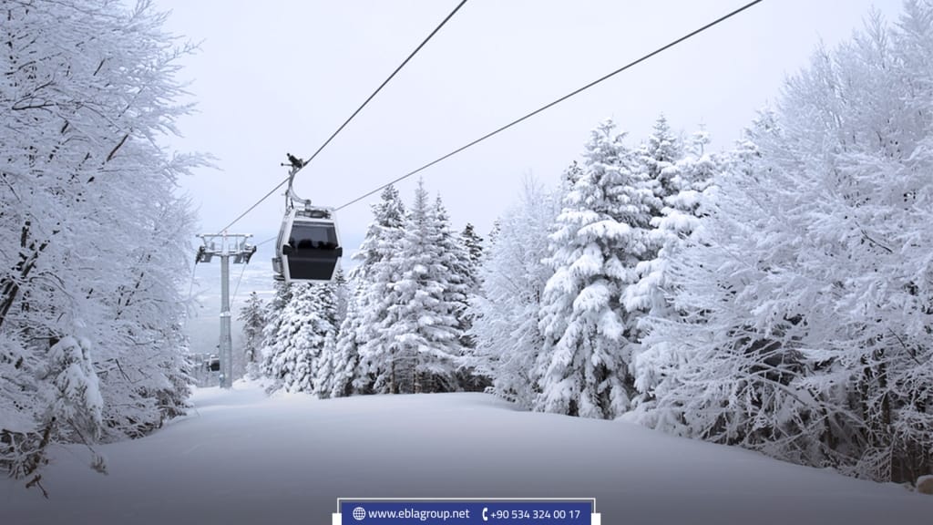 Activities to try in Bursa