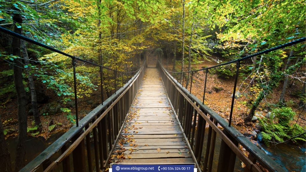 أكواخ بورصة الخشبية