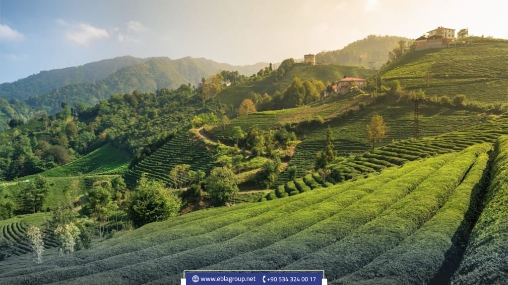 القرى المشهورة في تركيا