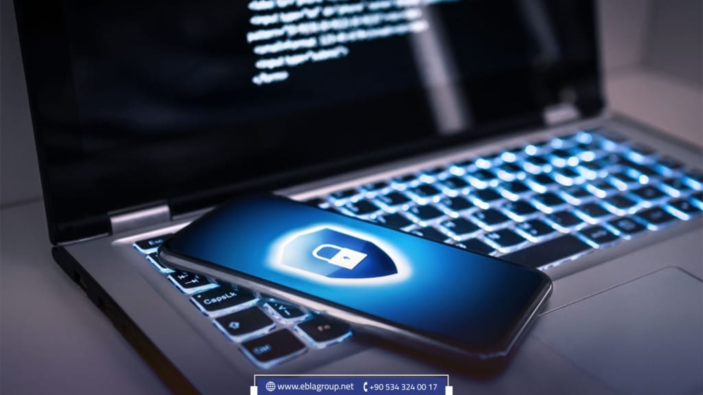 الجرائم الإلكترونية في تركيا