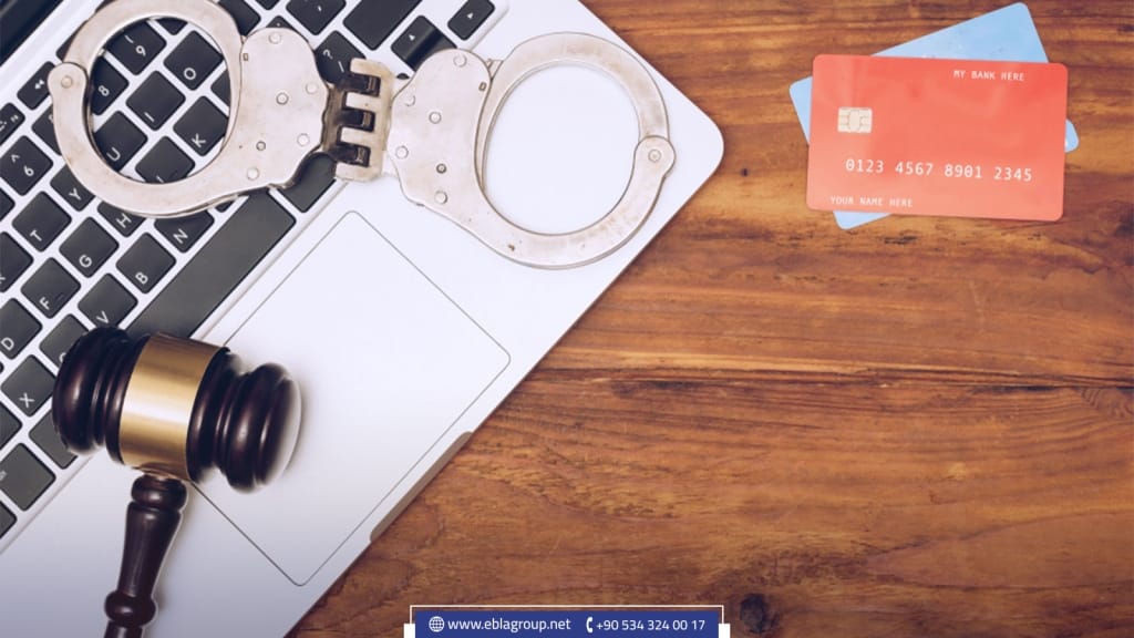 الجرائم الإلكترونية في تركيا