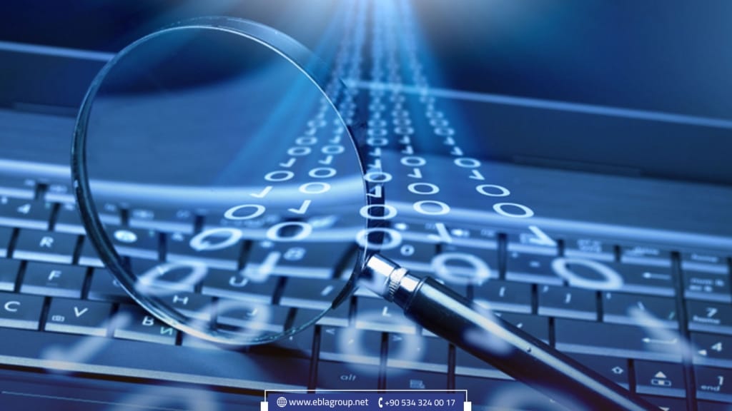 الجرائم الإلكترونية في تركيا