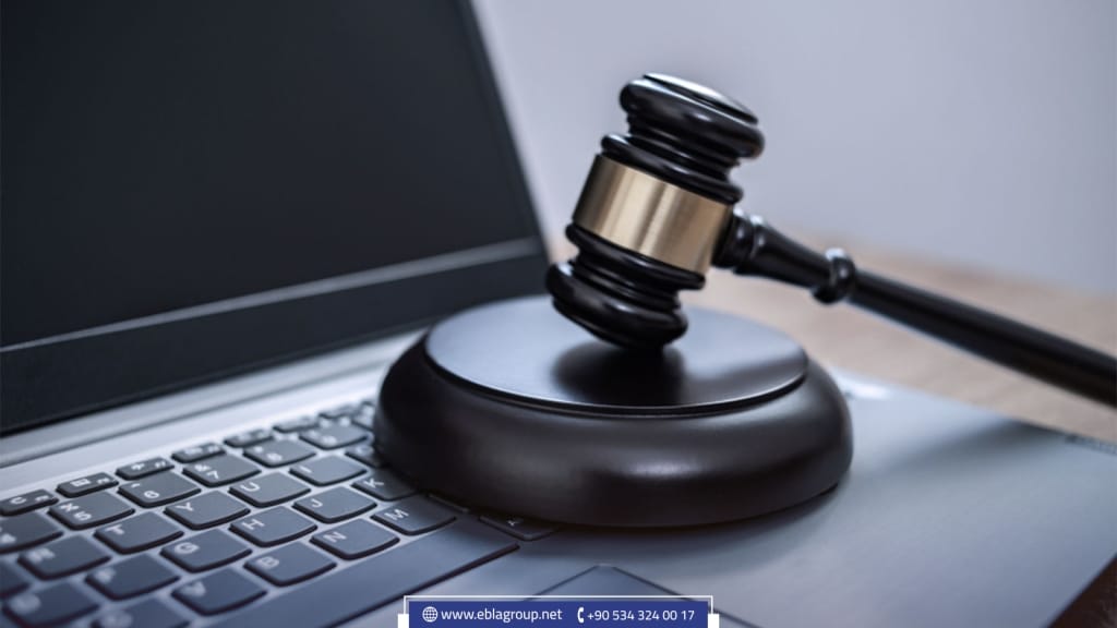 الجرائم الإلكترونية في تركيا