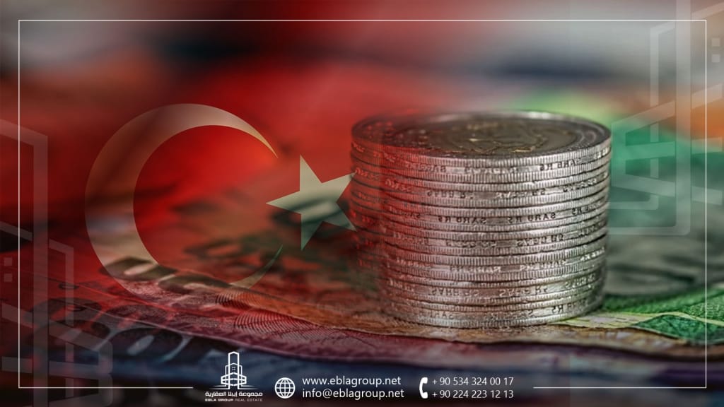 Turkish citizenship by purchasing shares