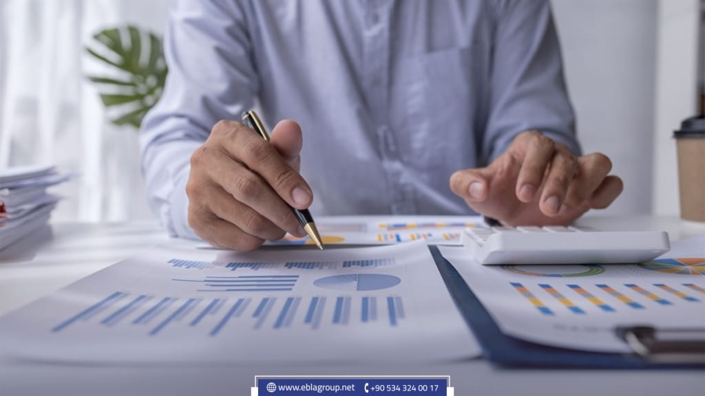 Turkish citizenship by purchasing shares