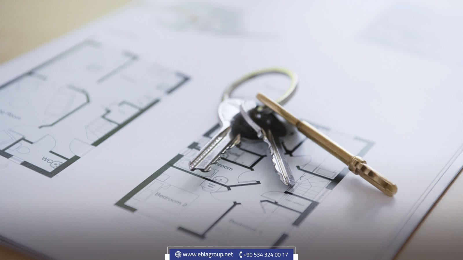 عيوب شقق الاستديو رخيصة للايجار في بورصة