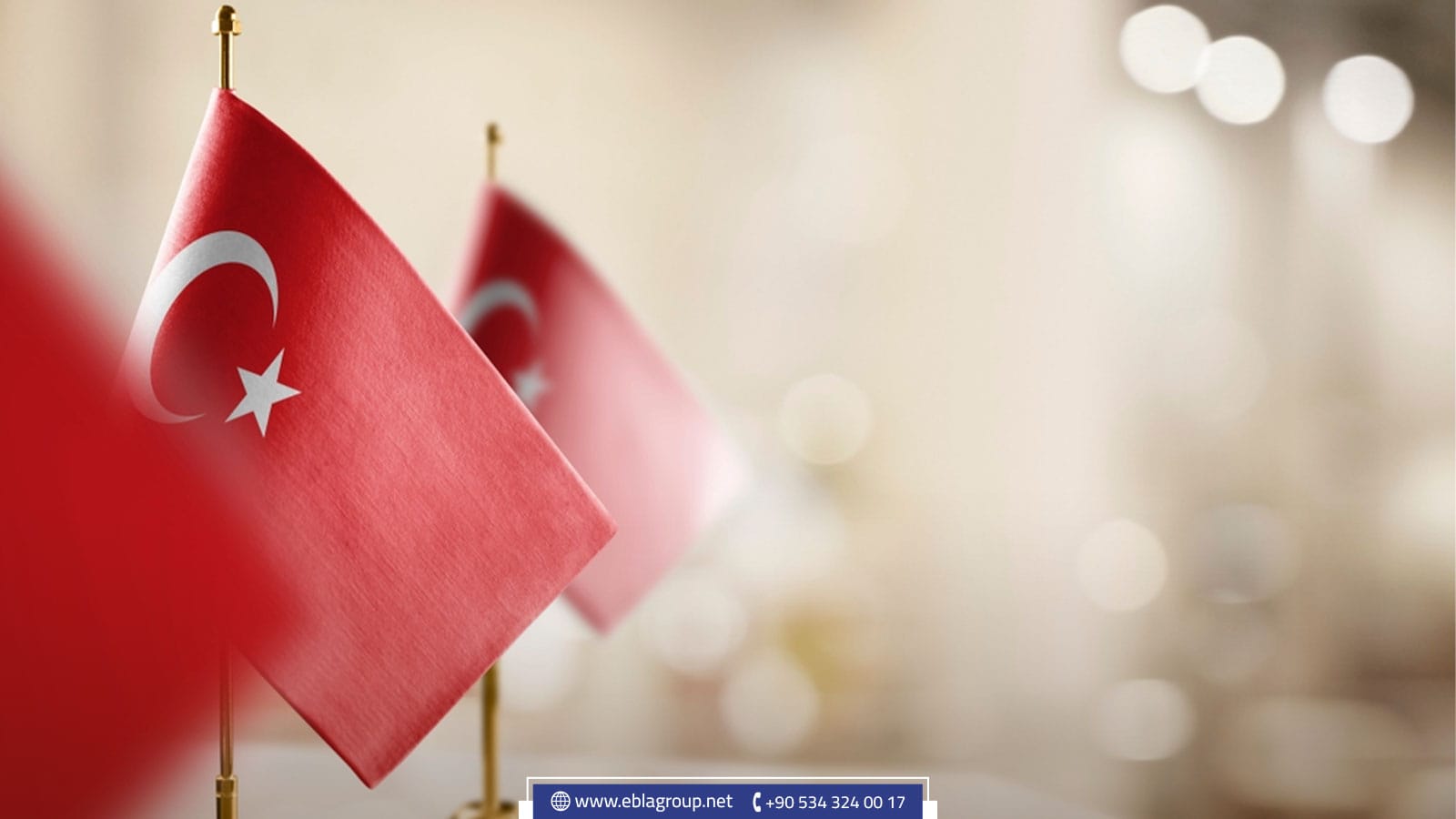 الدعم الحكومي للاستثمارات الأجنبية في طرابزون