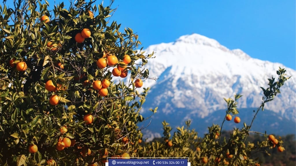 أنطاليا في تركيا