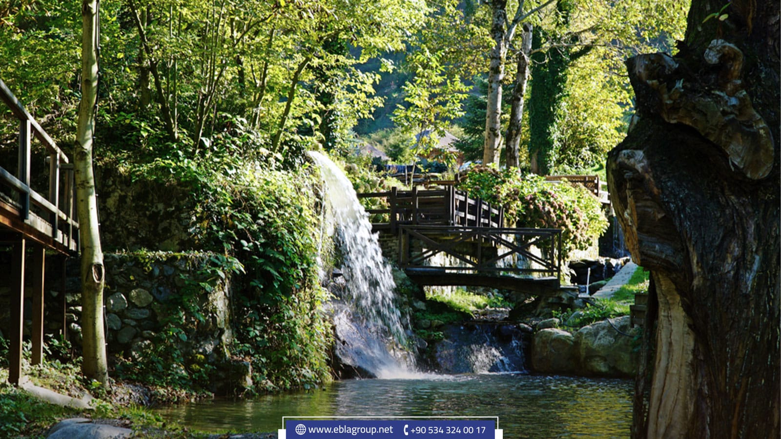 الموقع الجغرافي والحيوي