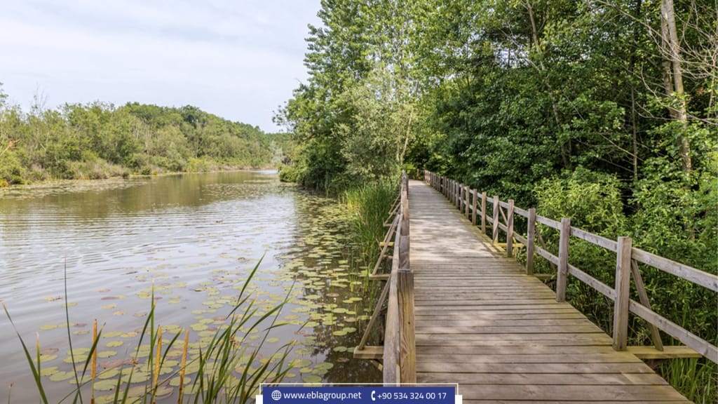 Sakarya in Türkiye: 