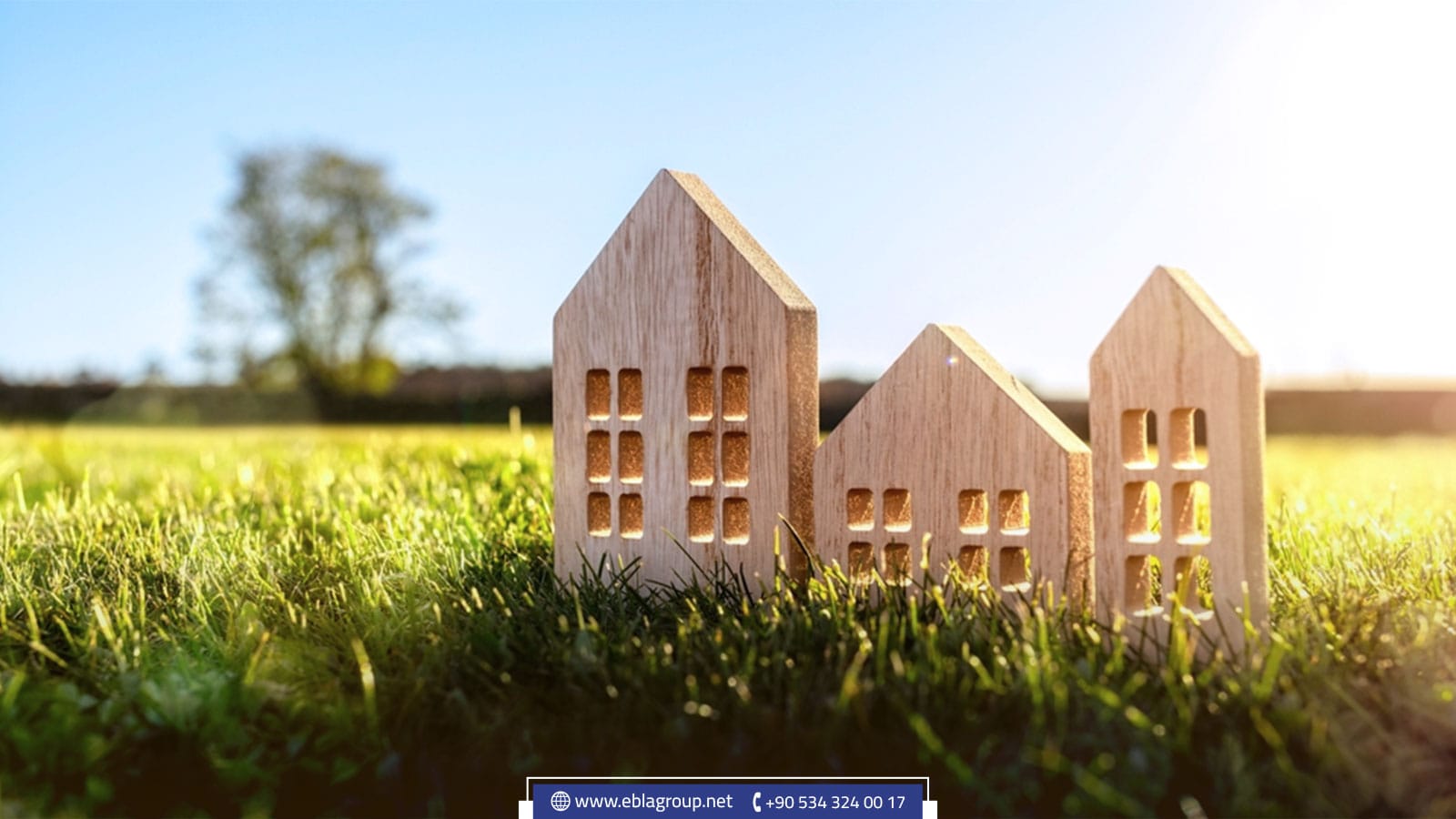 مزايا الاستثمار في نيلوفر بورصة