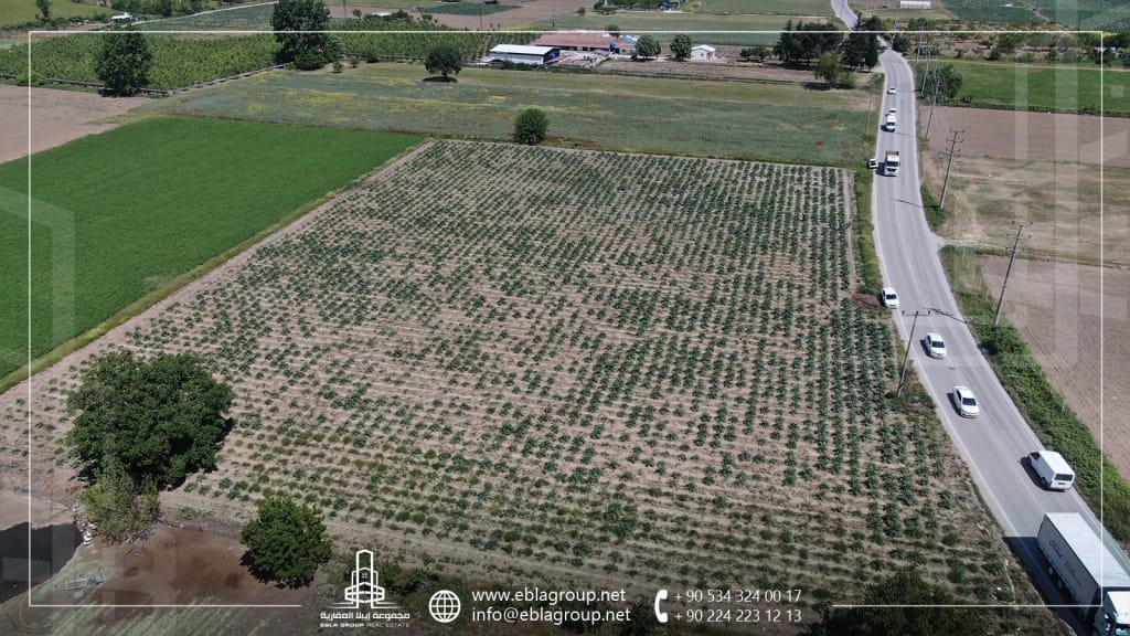 حي حسن آغا في بورصة