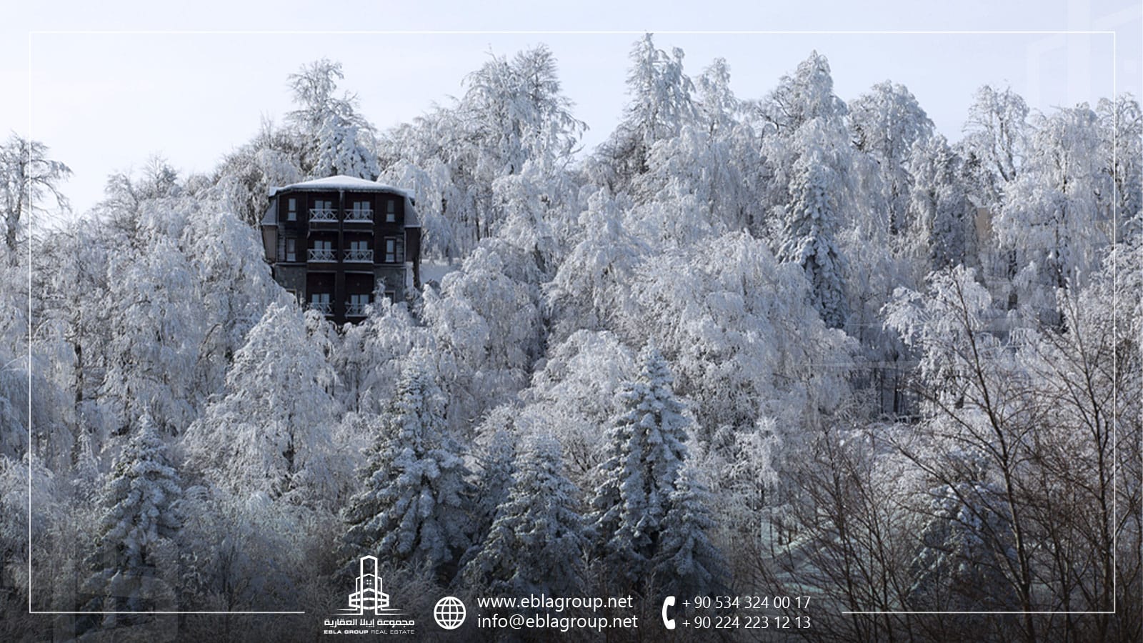 العقارات في صبنجة