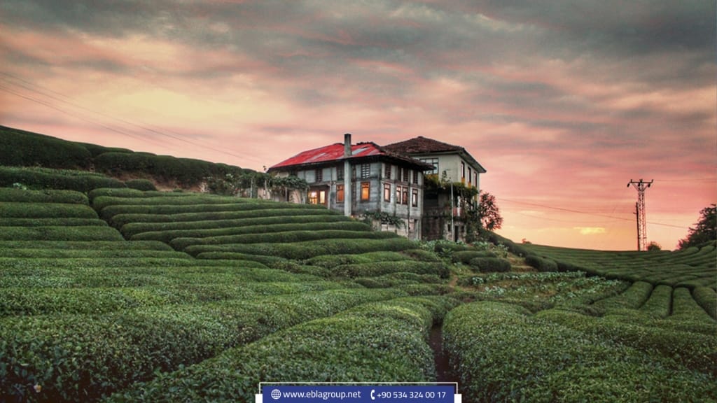 Mountain view apartments in Türkiye